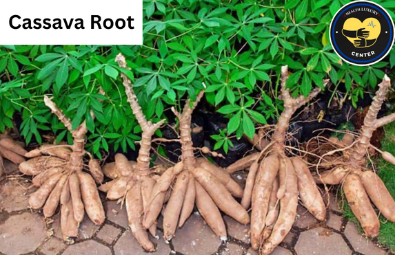 Cassava Root